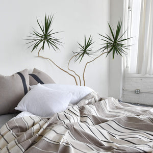 Desert stripes cotton coverlet handwoven in Oaxaca on a bed with a large, sculptural yucca plant.
