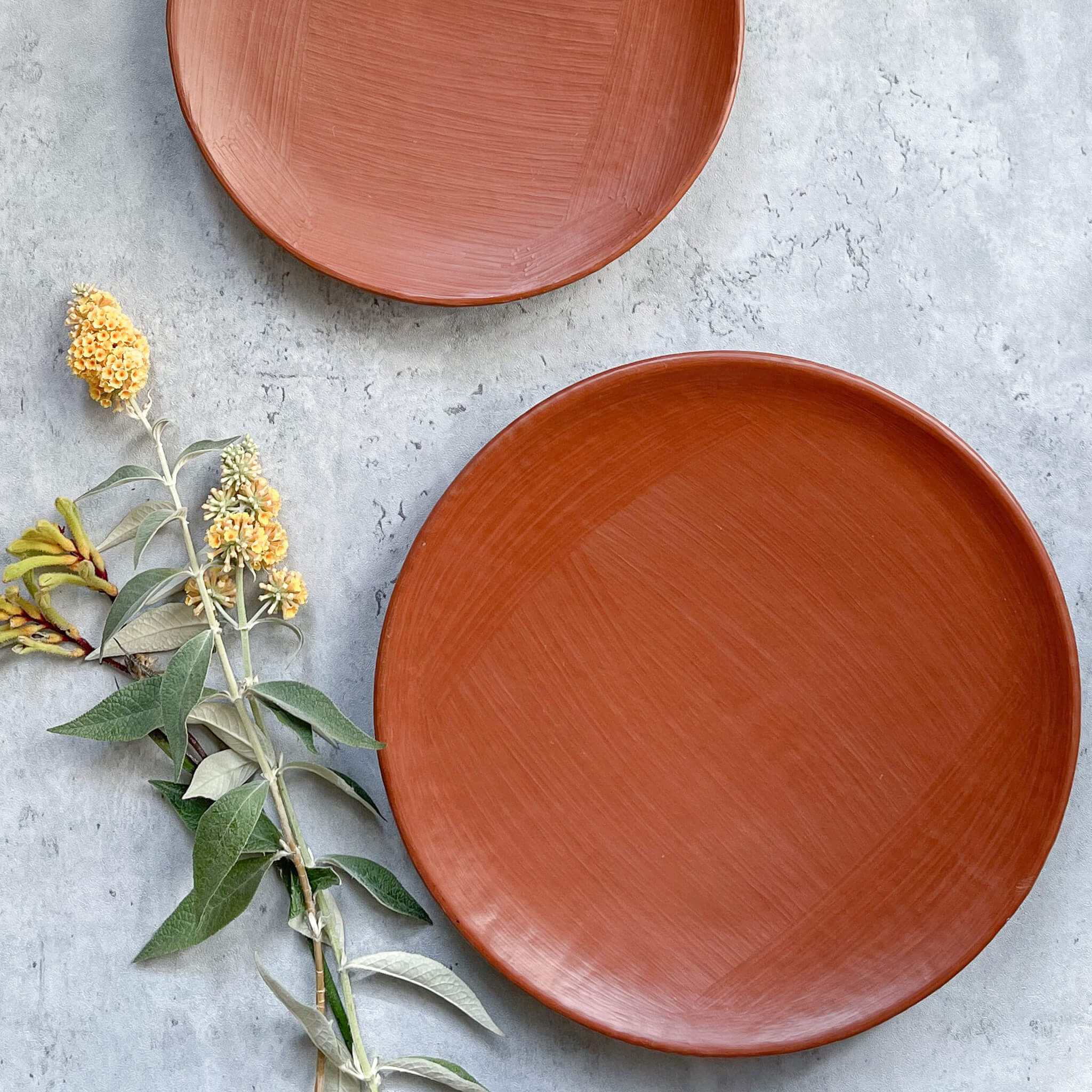 A Oaxaca red clay dinner plate with a salad plate, next to a floral sprig.