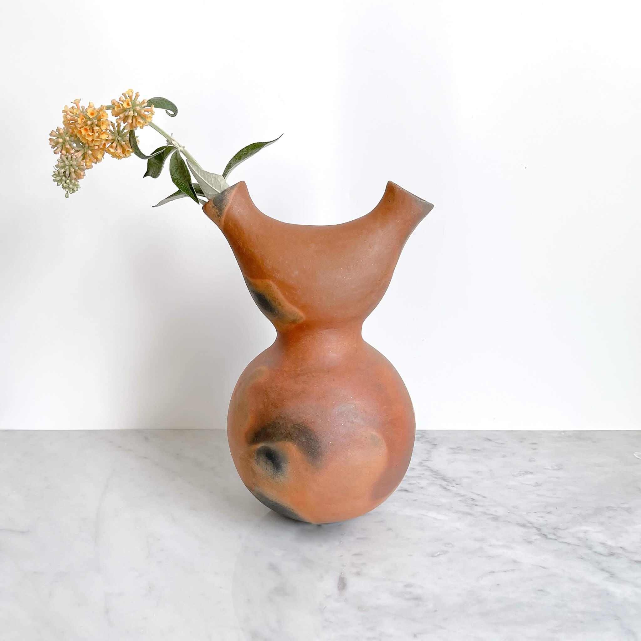 Pai Pai mujer ceramic vase with dry floral stem made in Mexico.