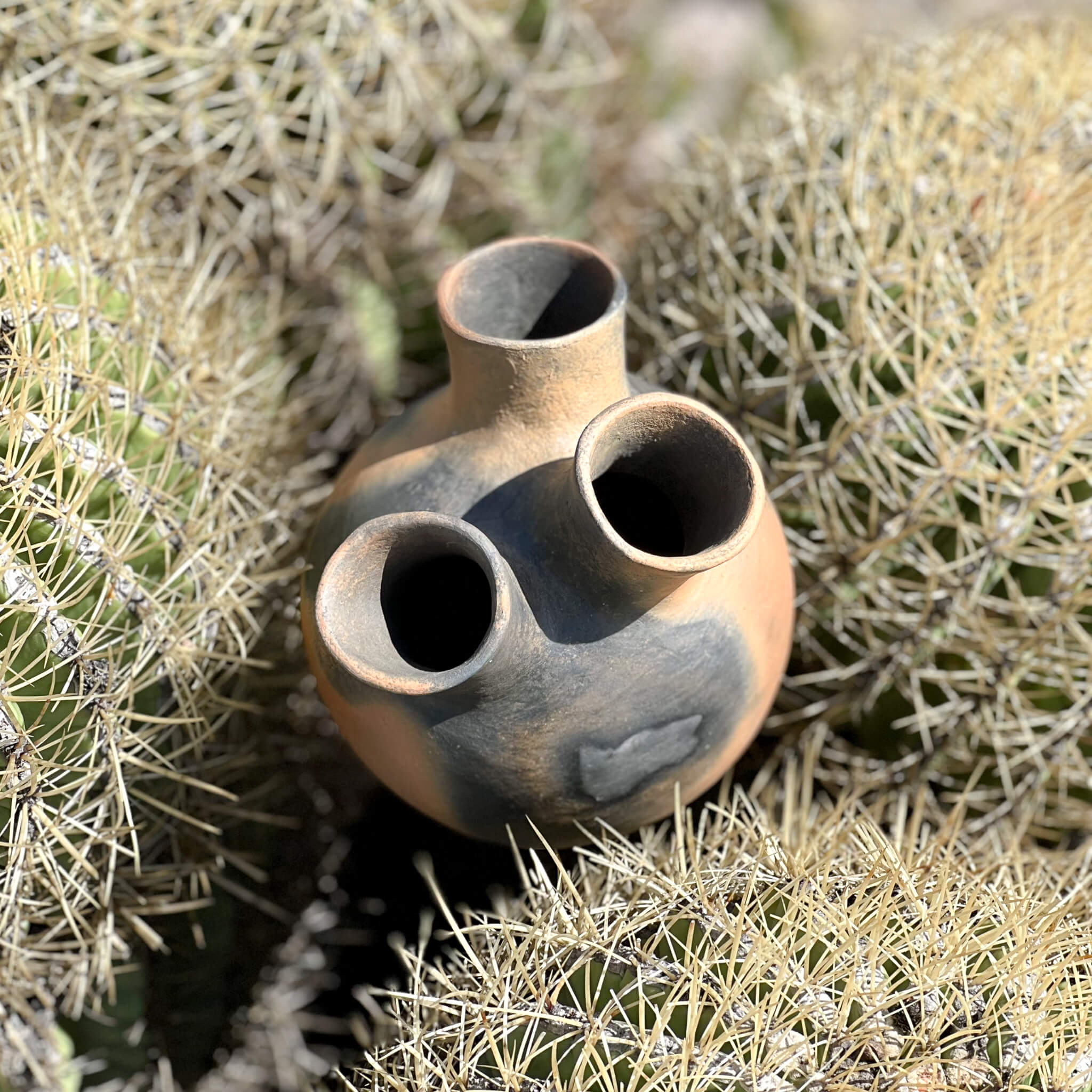 Pai Pai tres vase nestled in a cactus