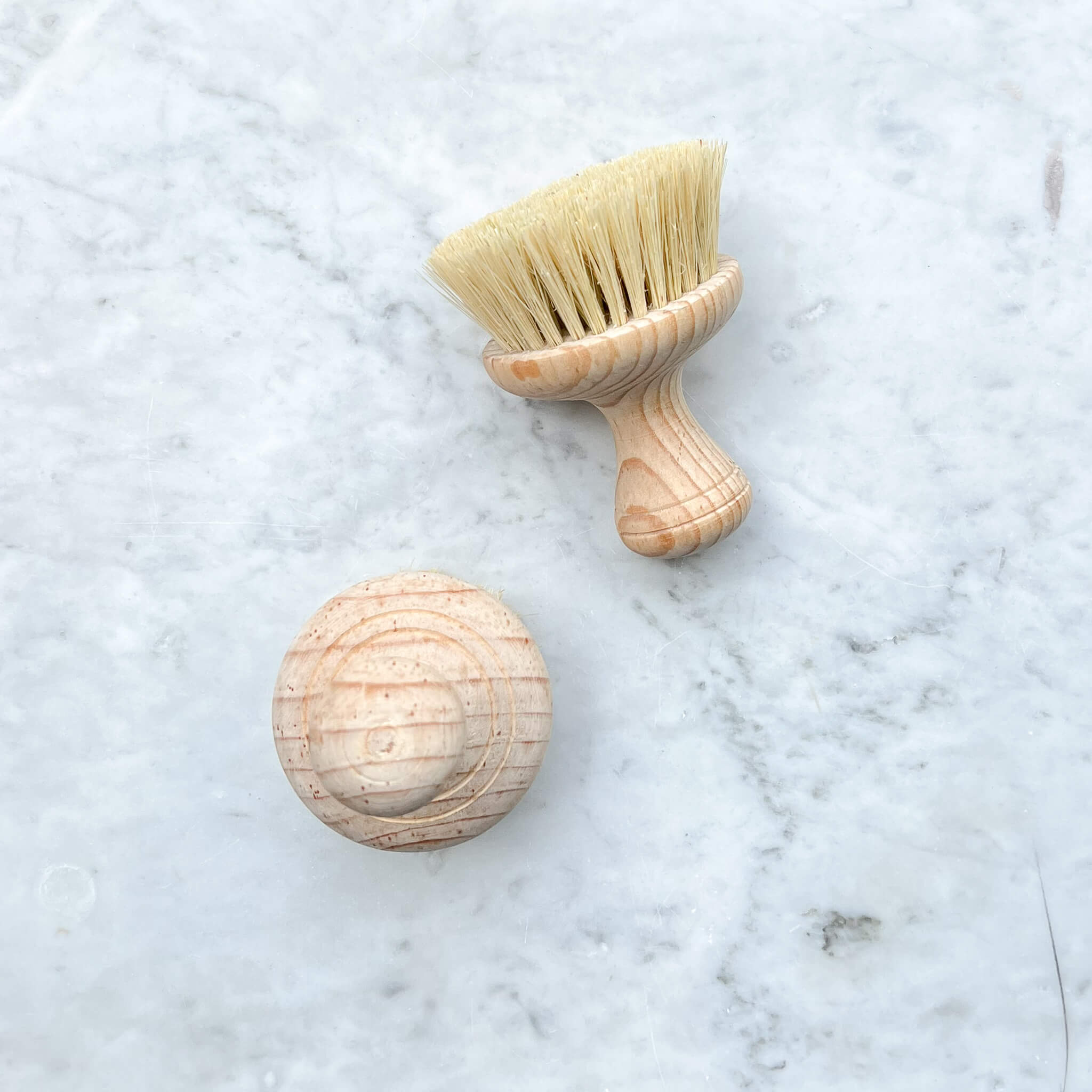 https://shopjavier.com/cdn/shop/products/Sisal-Kitchen-Brushes.jpg?v=1666649952