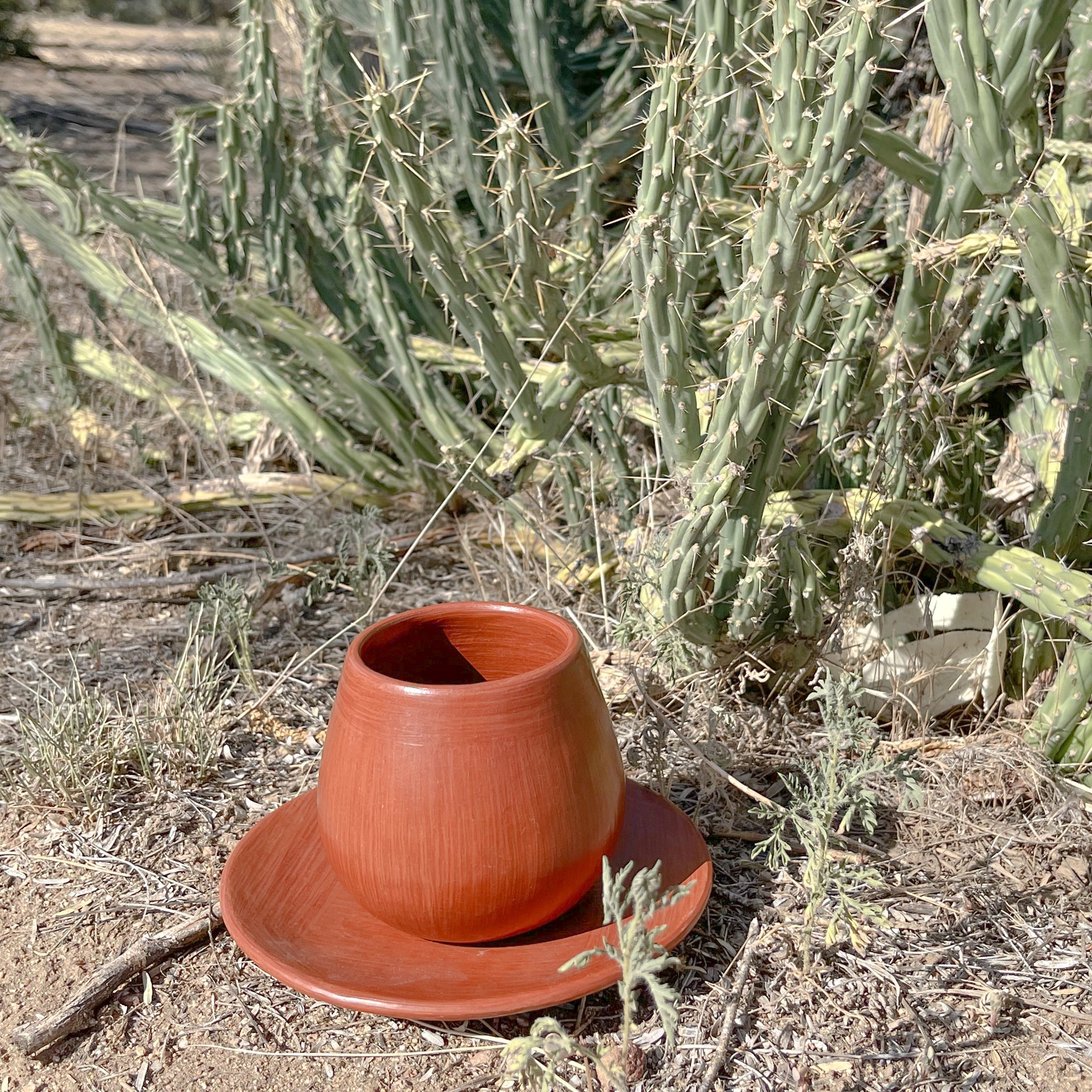 A Oaxaca red clay mug and plate set in front of a cactus plant in the desert.